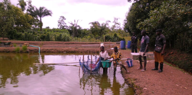 DRC’s first ‘Cahier de Charge’ approved 1