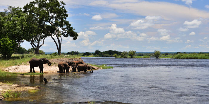 OPEN PIT MINING PROJECT IN LOWER ZAMBEZI NATIONAL PARK TO GO AHEAD UNDER STRICT ADHERENCE TO ZEMA SET MEASURES 1