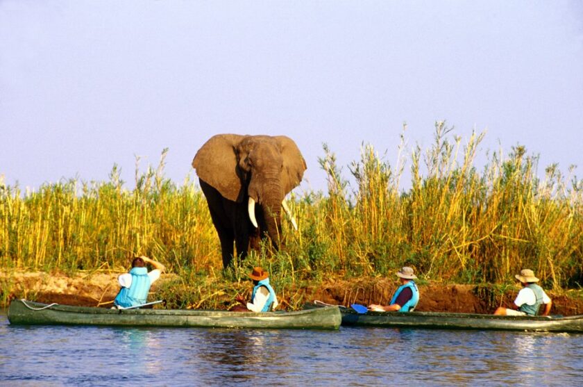 Top Reasons for Mining in the Lower Zambezi National Park - CBU Mining Engineering Students 2