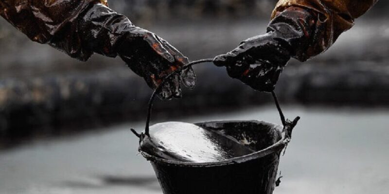 CNPAVa a Congolese NGO Condemns Minister of Hydrocarbons for Illicit Oil and Gas Deals 1