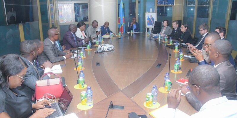 IMF delegation assesses mining statistics with Antoinette N'Samba Kalambayi 1