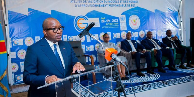 DRC's Prime Minister Launches Workshop for Responsible Supply Standards in the Cobalt Sector 1