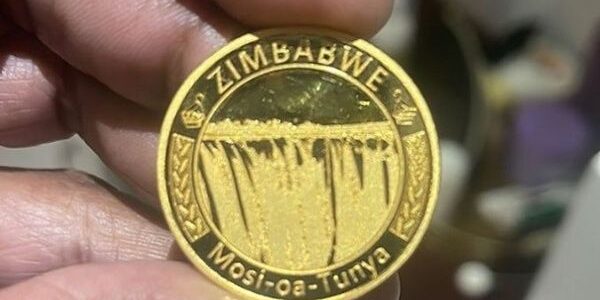 Zimbabwe to launch gold-backed digital token as currency concerns mount