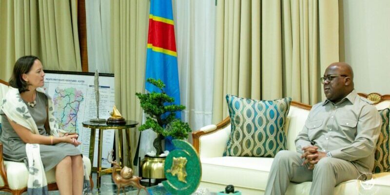 President Holds Talks with Foreign Ambassadors on Eastern DRC Situation 1