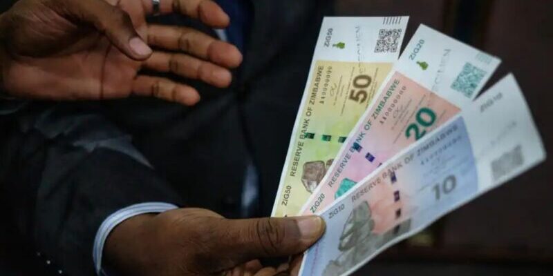 Zimbabwe's ZiG Currency Trading Commences Amid Lingering Uncertainty 1