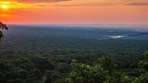 HARNESSING ZAMBIA’S MINES FOR CLIMATE CHANGE INVESTMENT: A GREEN INITIATIVE TAKES ROOT 4