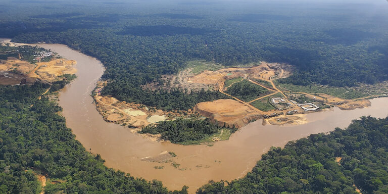 Illegal Mining Threatens Okapi Wildlife Reserve in Ituri 1