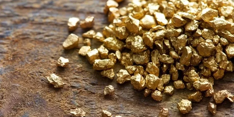 Mozambique Loses Millions in Unpaid Taxes from Gold and Limestone Mining 1