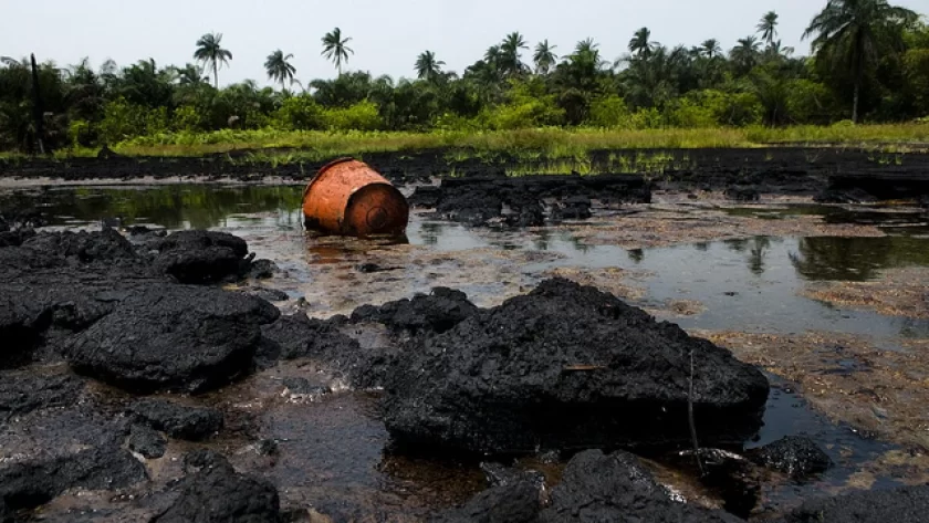 Perenco Denies Environmental Damage Amid Criticism of Oil Exploitation in Moanda