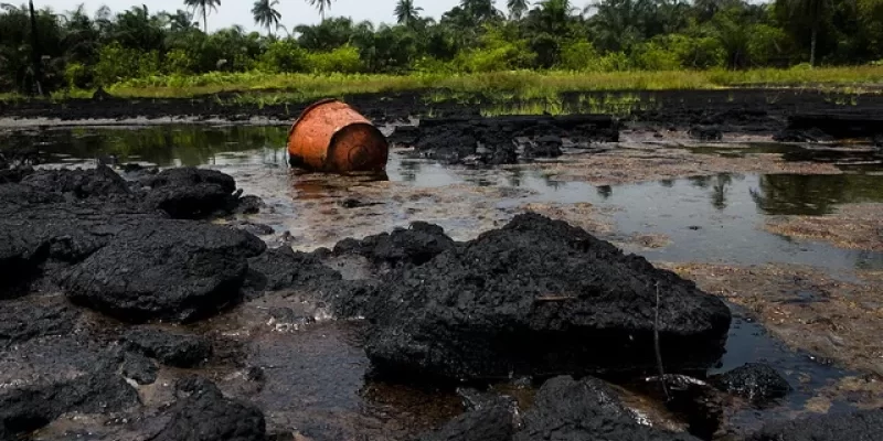 Perenco Denies Environmental Damage Amid Criticism of Oil Exploitation in Moanda 1