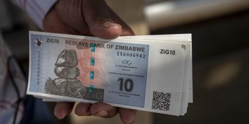 Zimbabwe Urged to Reduce Reliance on the US Dollar 1