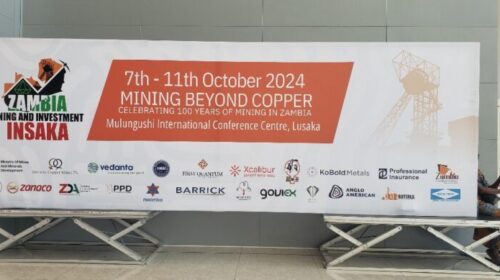 Chinese Mining Enterprises Actively Participate in The First Zambia Mining and Investment Insaka 1