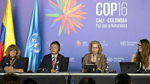 COP16 Biodiversity Summit Ends Without Consensus on Funding for 2030 Roadmap 2