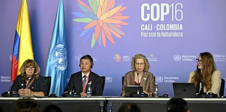 COP16 Biodiversity Summit Ends Without Consensus on Funding for 2030 Roadmap 1