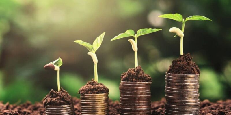 DRC Establishes Carbon Market Regulatory Authority to Boost Oversight and Investment 1