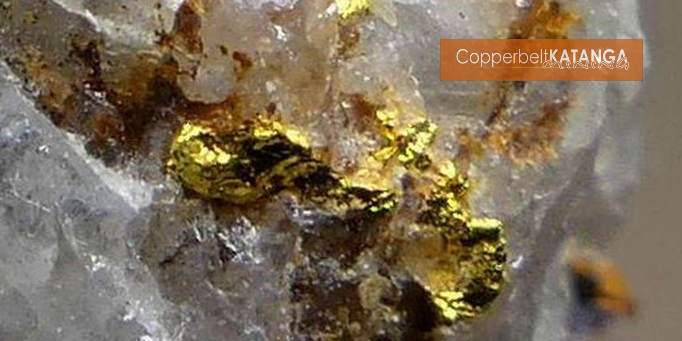 CKM Newsletter 04-08-2025 61