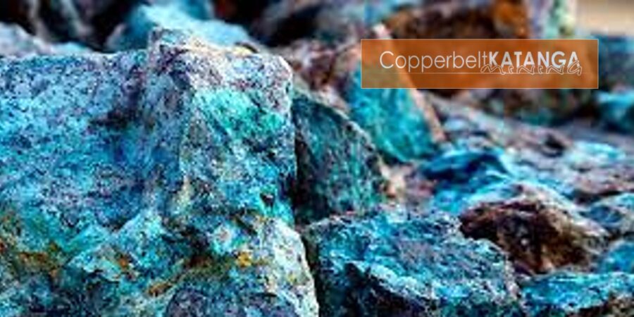 CKM Newsletter 25-08-2025 23