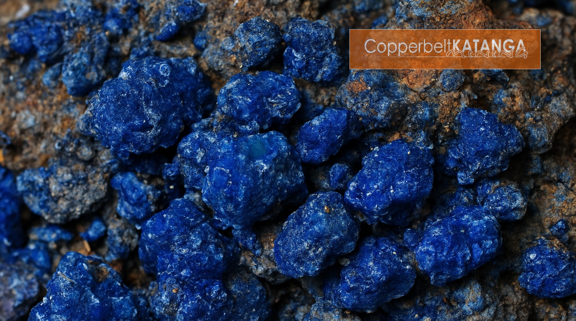 CKM Newsletter 29-09-2025 127