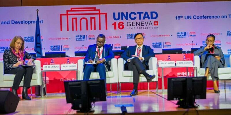 DRC Proposes Strategic Minerals Organization to Stabilize Global Market 1