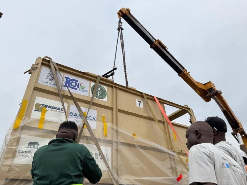 Barrick Advances Garamba Conservation Efforts with Second Reintroduction of White Rhinos 2