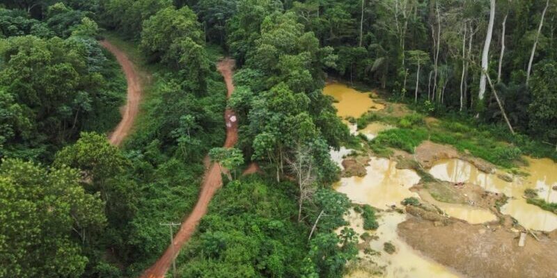 Ghana Restores Full Protection of Forest Reserves with Nationwide Mining Ban 1