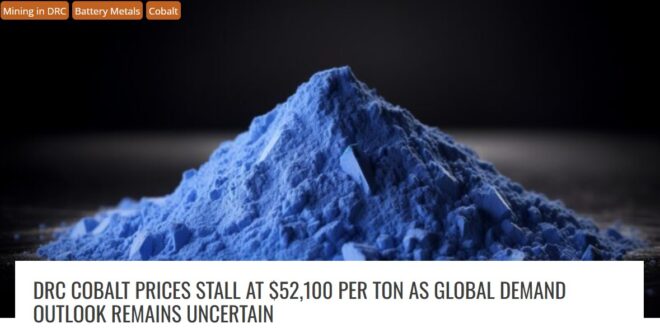 CKM Newsletter 12-01-2026 8