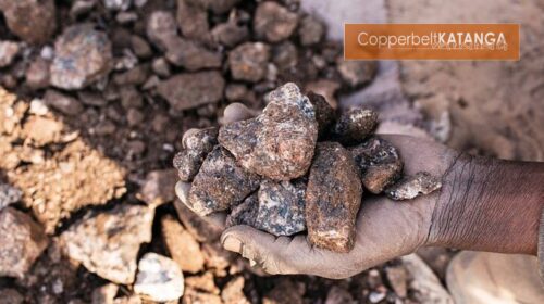 CKM Newsletter 16-02-2026 43