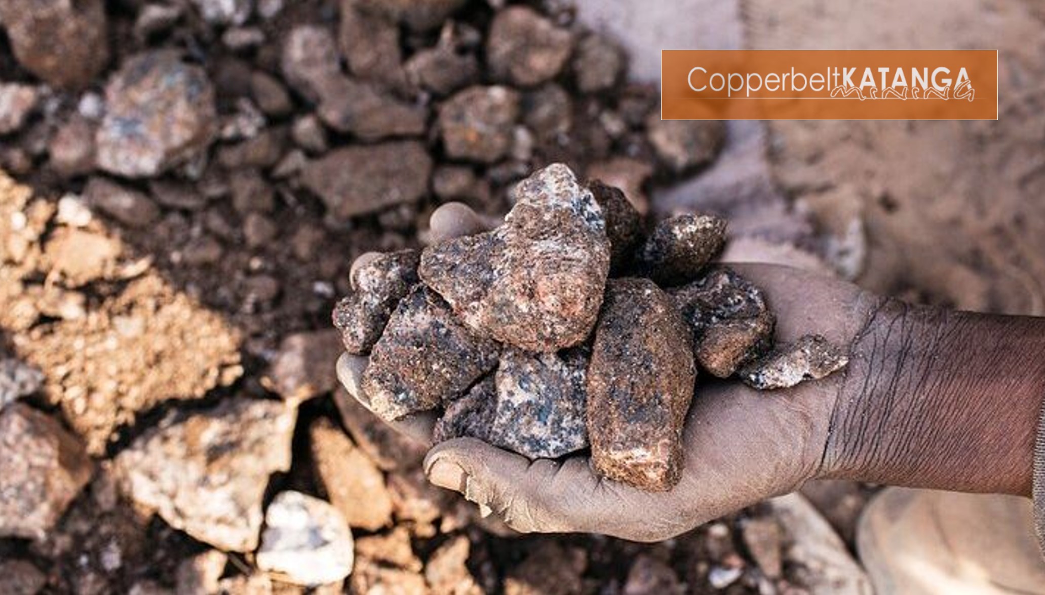 CKM Newsletter 16-02-2026 43