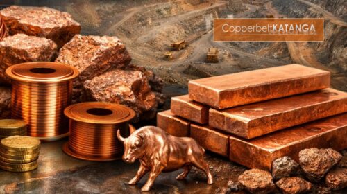 CKM Newsletter 23-02-2026 22