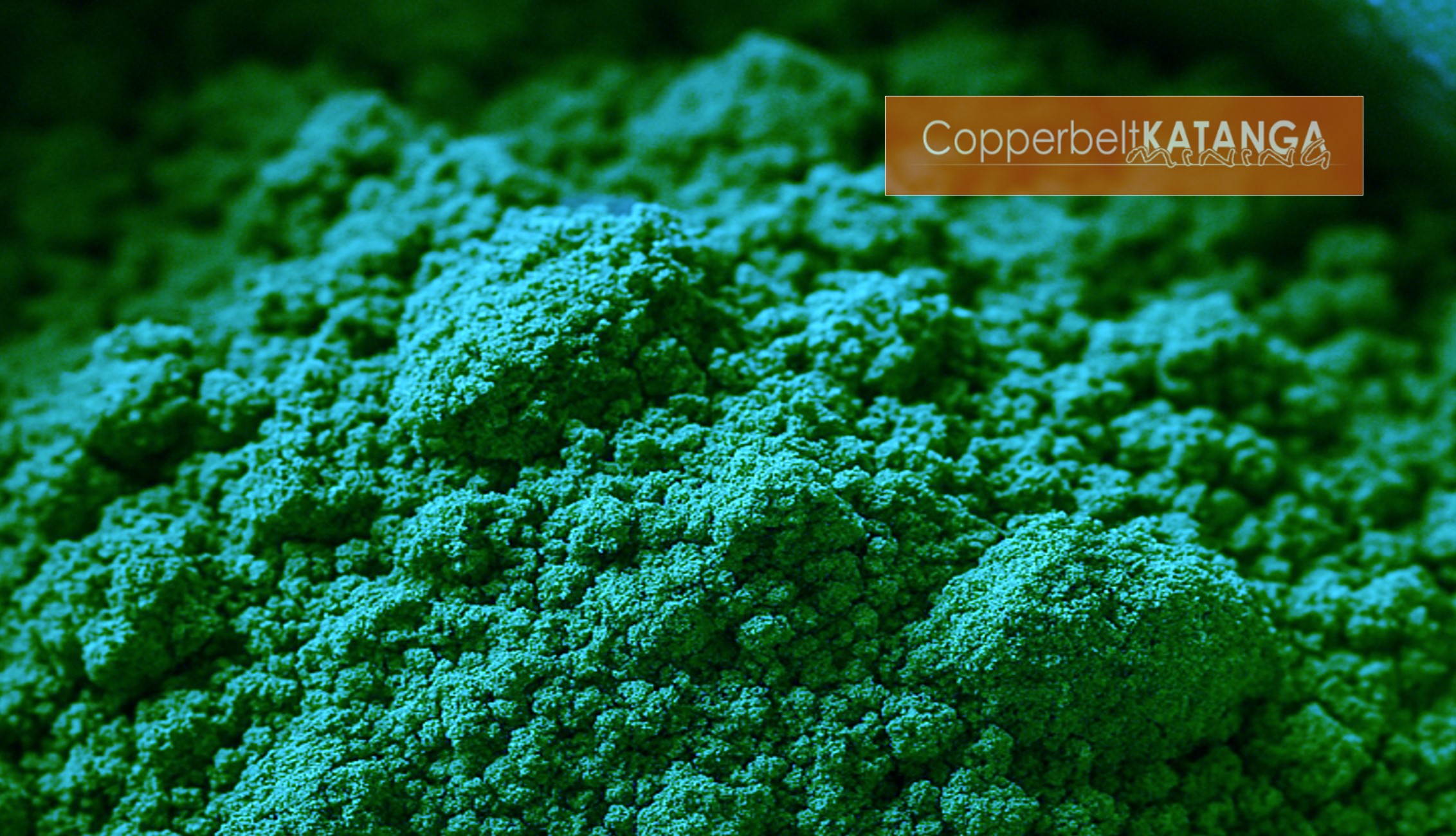 CKM Newsletter 02-03-2026 1