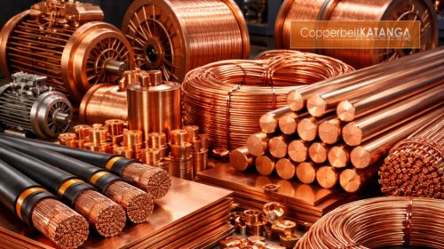 CKM Newsletter 09-03-2026 1