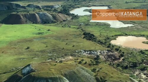 CKM Newsletter 30-03-2026 64