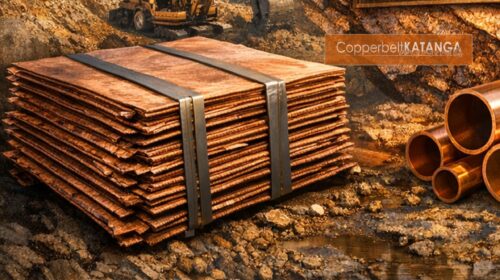 CKM Newsletter 27-04-2026 17