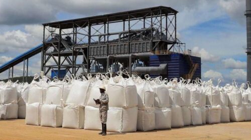 Zimbabwe Attracts Nearly $1 Billion in Lithium Processing Investments After Export Ban 2