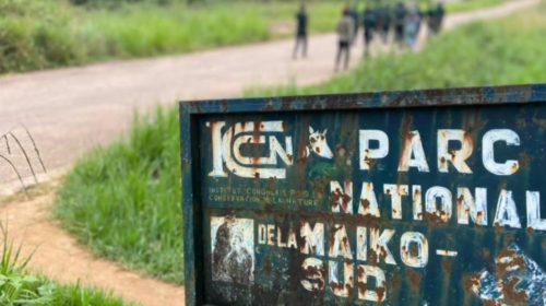 DRC Cracks Down on Illegal Mining Activities Near Maiko National Park Amid Environmental Concerns 1