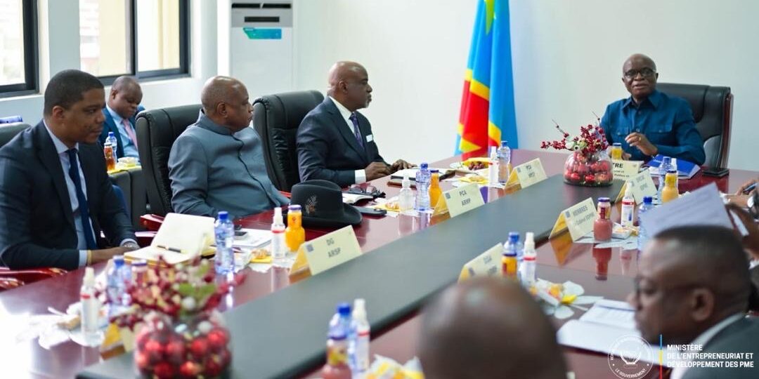 DRC Moves to Strengthen Local Content Rules in Mining and Public Procurement 1