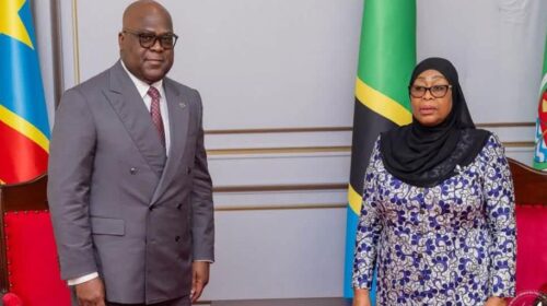 DRC and Tanzania Strengthen Strategic Partnership on Critical Minerals and Geological Data 3