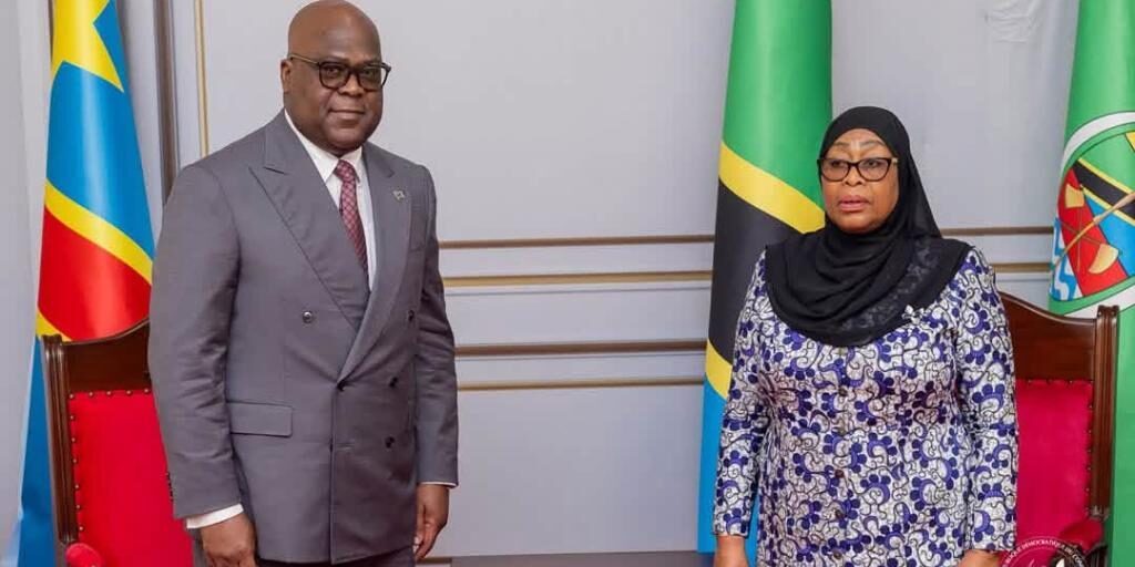 DRC and Tanzania Strengthen Strategic Partnership on Critical Minerals and Geological Data 5