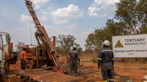 Tertiary Minerals Strengthens Mushima North Copper-Silver Project with Phase 4 Results 2