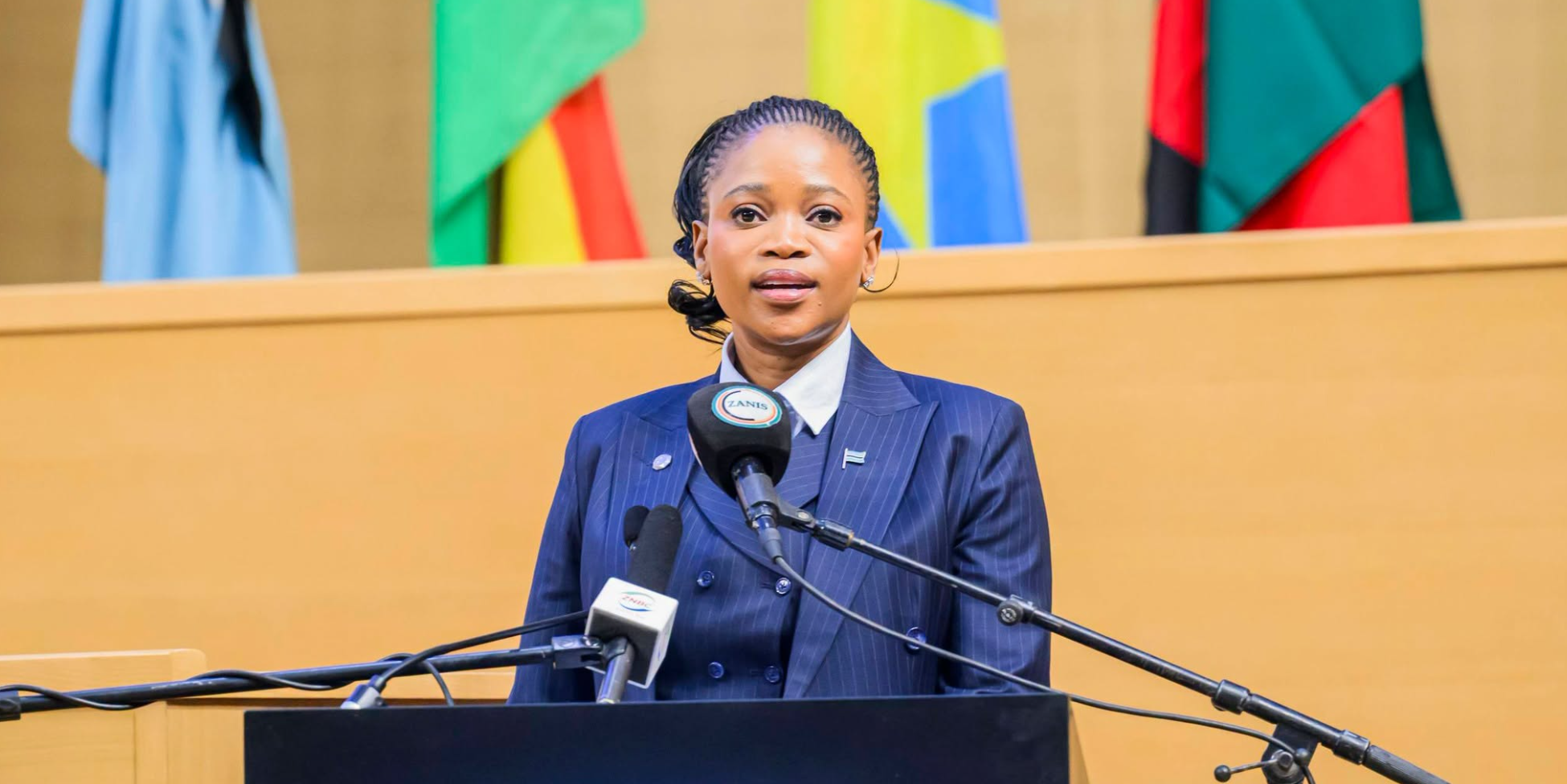 Botswana Targets Electricity Exports to Zambia by 2027 3
