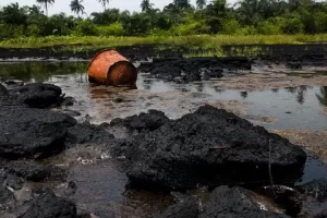 Perenco Denies Environmental Damage Amid Criticism of Oil Exploitation in Moanda